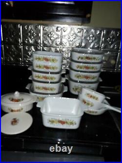 23 Vintage 1970's Pyrex Corning Ware (Limited Fall Edition) Spice of Life