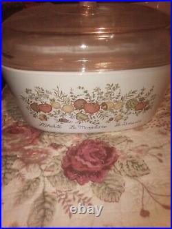 Have Rare Vintage Corning Ware Spice of life
