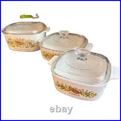 RARE VINTAGE CORNING WARE SPICE OF LIFE Casseroles With Lids 6 Pieces