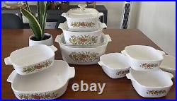 RARE, Vintage CORNING WARE Spice of Life set