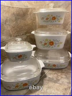 Vintage 1970s Corning Ware 10 pc set with Pyrex Glass Lids, pre-owned