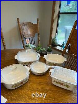 Vintage 9 Piece Set Corning Ware Spice of Life Casserole Dishes EXC! With lids