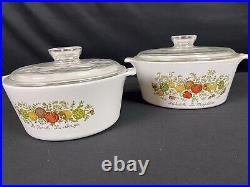 Vintage Corning Ware Spice of Life 9 Piece Set 6 Dishes with 3 Pyrex Lids