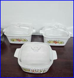 Vintage Original (French Wording) Spice Of Life Corning Ware Set Of 10